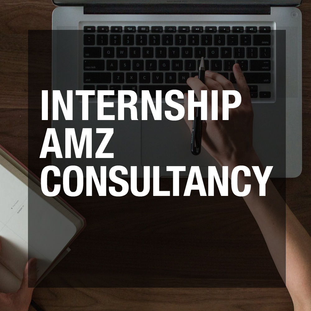 Internship AMZ Consultancy